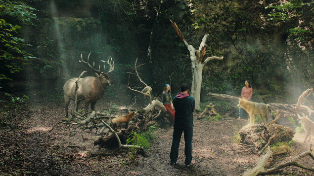 WOODWALKERS: CARAGOVA PREMENA